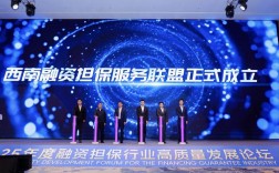 2025互联网保险融资潮涌，谁主沉浮？