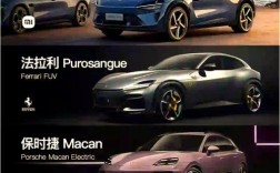 小米品牌与其他品牌对比