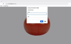 Advanced Tomato教程怎么用？