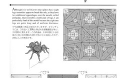 Rolling Spider教程怎么用？新手必看指南？