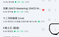 Blurred Music App怎么用？新手必看教程指南