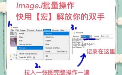 lsasecretsview怎么用？教程步骤详解