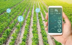 互联网农业发展面临哪些关键问题？