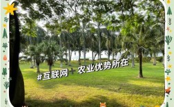 互联网+农业，为何不是简单相加？