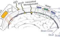 bctextencoder教程怎么学？