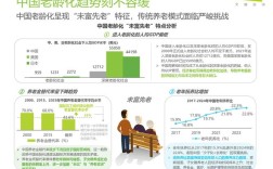 2025政治互联网养老如何落地惠民？