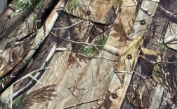 Cabelas品牌有何独特魅力？