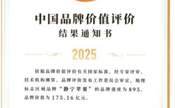 iPhone品牌授权有哪些具体类型？