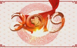 紫鲸科技，专注什么领域的互联网服务？