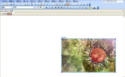 FrontPage 2003教程视频哪里学？