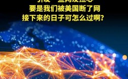 中国互联网缘何集体退出美国市场？