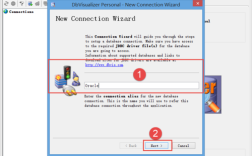 dbvisualizer下载教程
