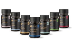 Apacer是哪个品牌的？