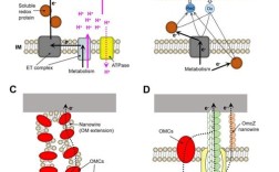 Microstrategy教程怎么学？从哪开始学？
