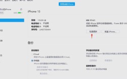 iPad为何尚未接入互联网？