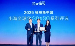 Maxhub品牌总监的核心职责是什么？