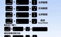 adobe pagemill教程