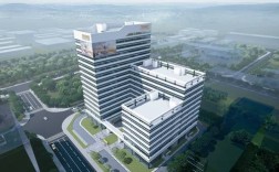 美国运动内衣品牌哪家强？