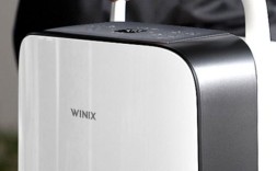 Winix品牌在韩国家电排行中表现如何？