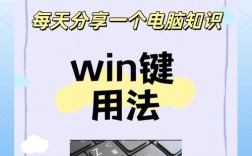 windowsbuilder使用教程