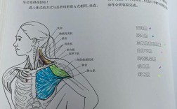 Adrian Sommeling教程如何拍出超现实创意大片？