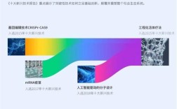 2025新兴互联网公司有哪些新趋势？