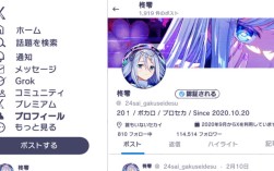 Twitter品牌主页有何独特设计？