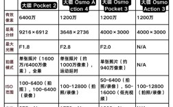 国产GoPro哪个牌子更值得选？
