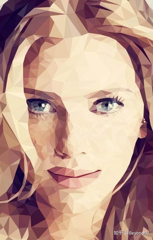 image triangulator 教程-图3