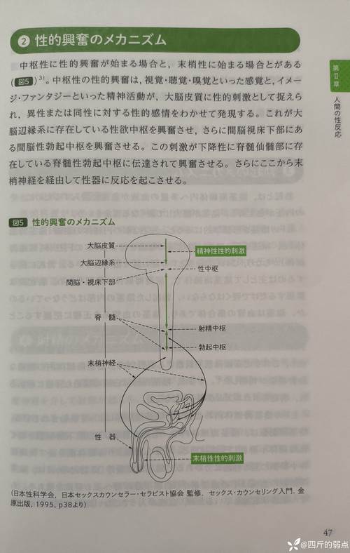 XBMC Constellation教程，如何快速上手配置？-图1