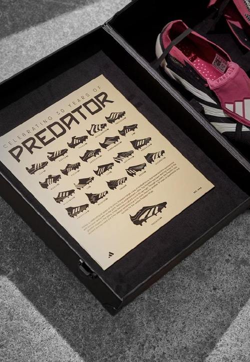 Special Edition品牌有何独特之处？-图1