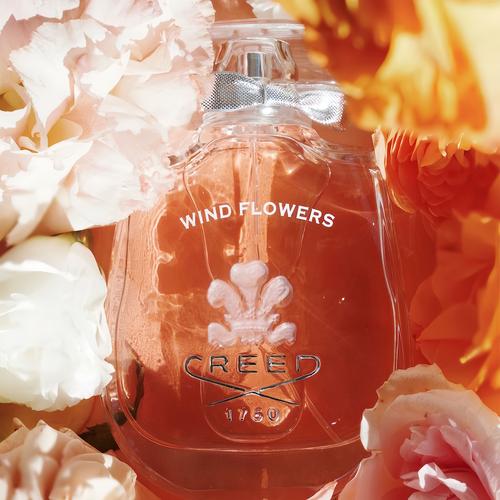 Wonderflower是什么品牌？-图2