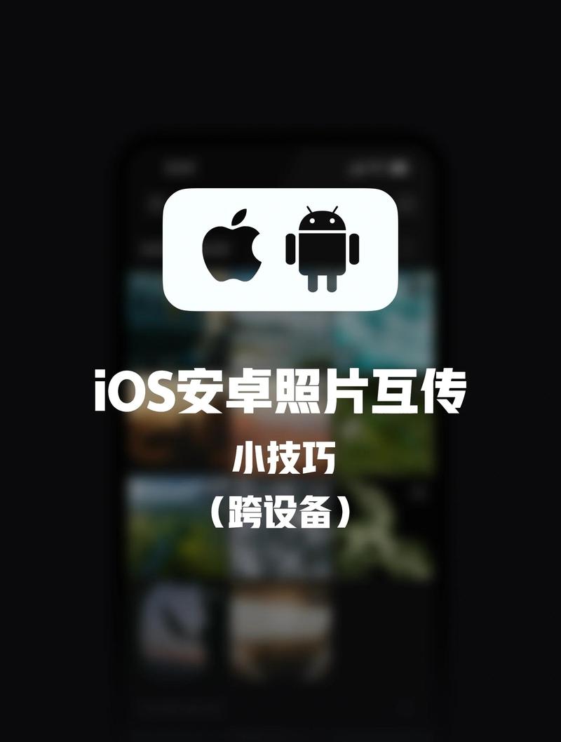 iPhone Siri联网后，能搜到实时信息吗？-图1