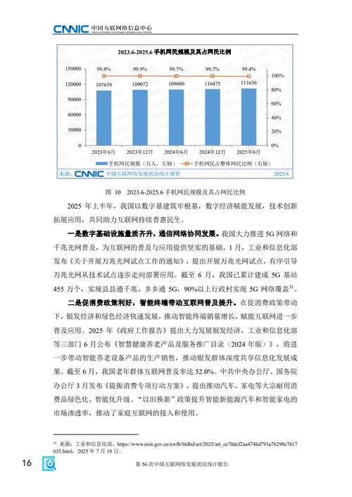 中国互联网发展状况统计报告PDF有何新发现？-图2
