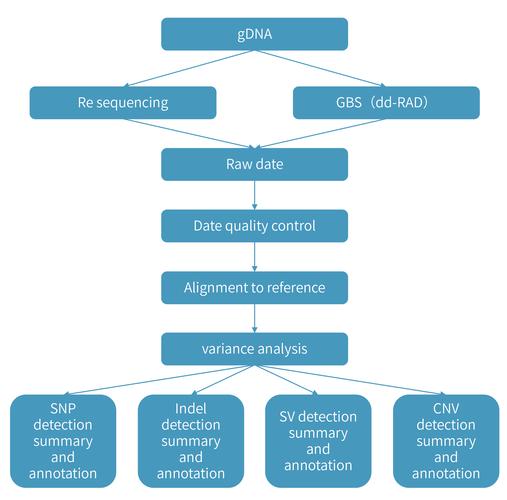 Spirent Testcenter教程，如何快速上手？-图2