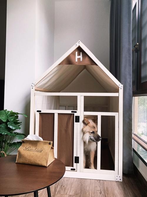 Pepakura Designer教程，新手如何快速上手？-图3