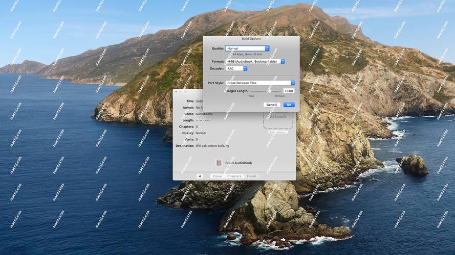 Multimedia Builder教程如何快速上手？-图3