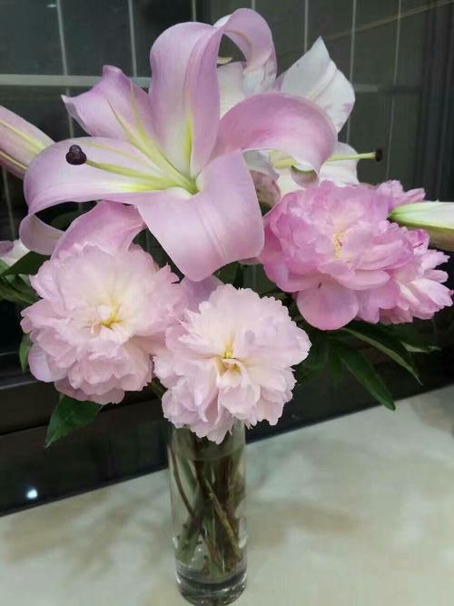 Flower Plus是做什么的？有何独特优势？-图3