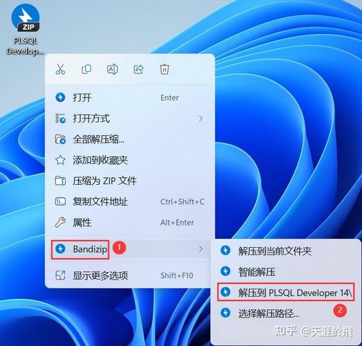 PL/SQL Developer安装教程，详细步骤有哪些？-图1