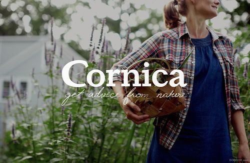 cornucopia是什么品牌-图2