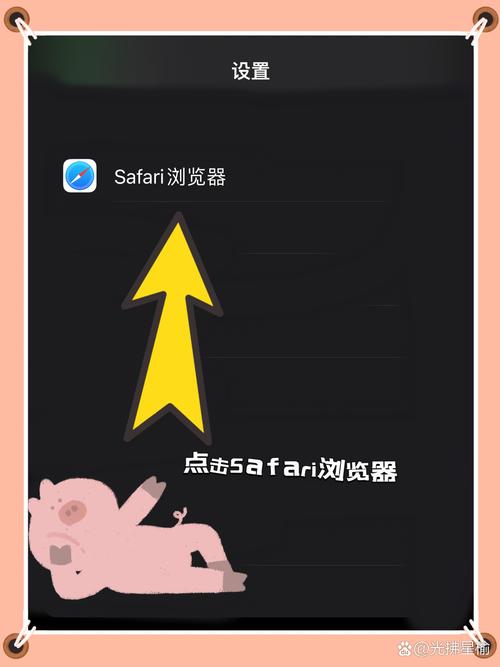 Safari插件删不掉怎么办？-图3
