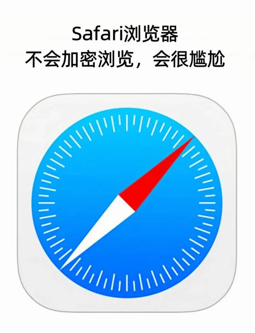 Safari Downloader怎么用?下载步骤有哪些?-图1 Safari Downloader怎么用?下载步骤有哪些?-图1