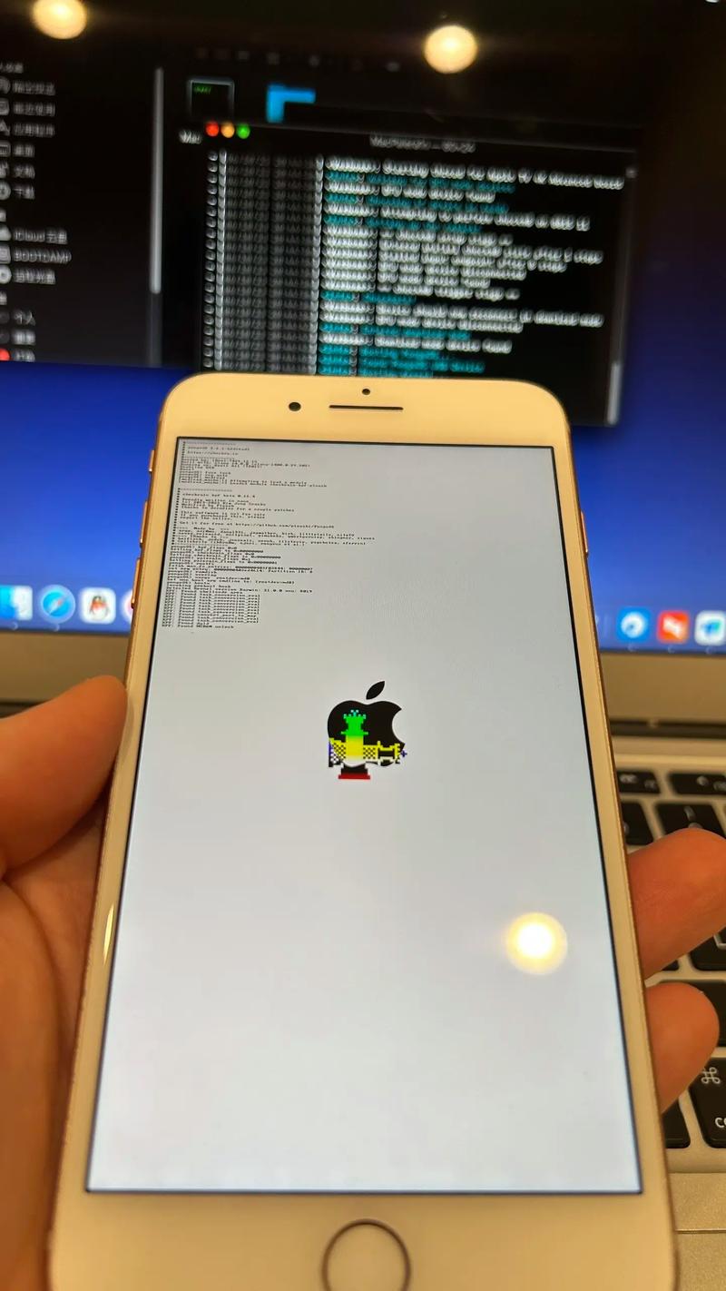 iPhone越狱后，手机互联网安全与自由如何平衡？-图3