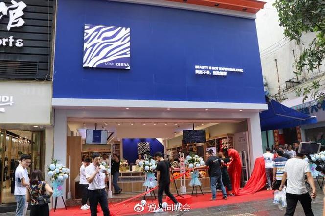 mini zebra品牌厂家-图3 mini zebra品牌厂家-图3