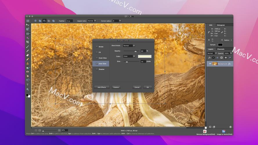 editor pixelstyle教程-图3