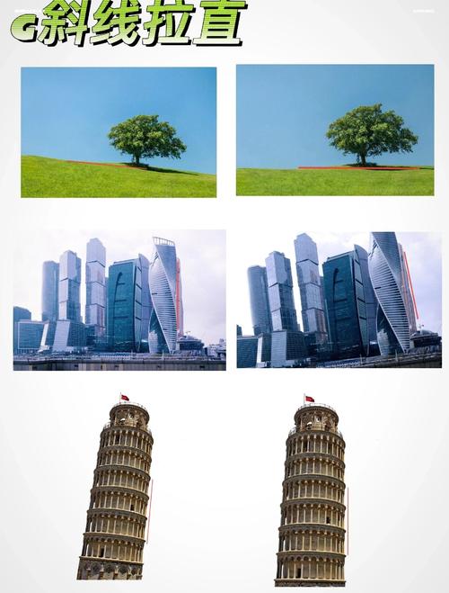 Photoshop裁剪图片视频教程怎么学?-图3 Photoshop裁剪图片视频教程怎么学?-图3