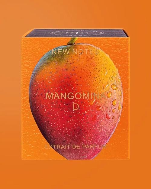 Stylenotes是什么品牌？-图2