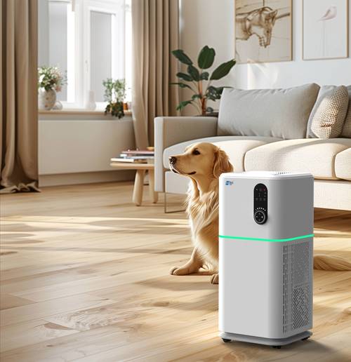 CADR值越高,净化效果一定越好吗?-图3 CADR值越高,净化效果一定越好吗?-图3