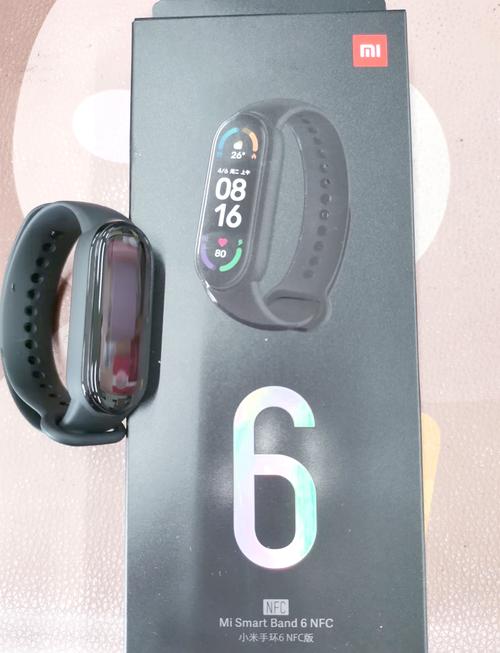 m6 mini手环是什么品牌？-图1