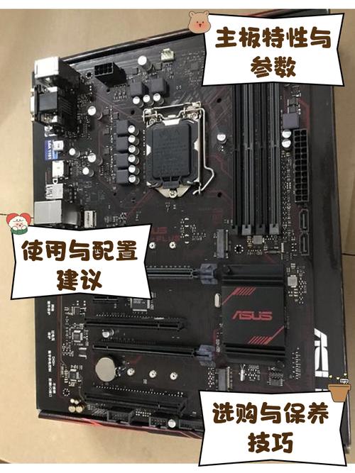 华硕B350 Plus配什么内存品牌好？-图2